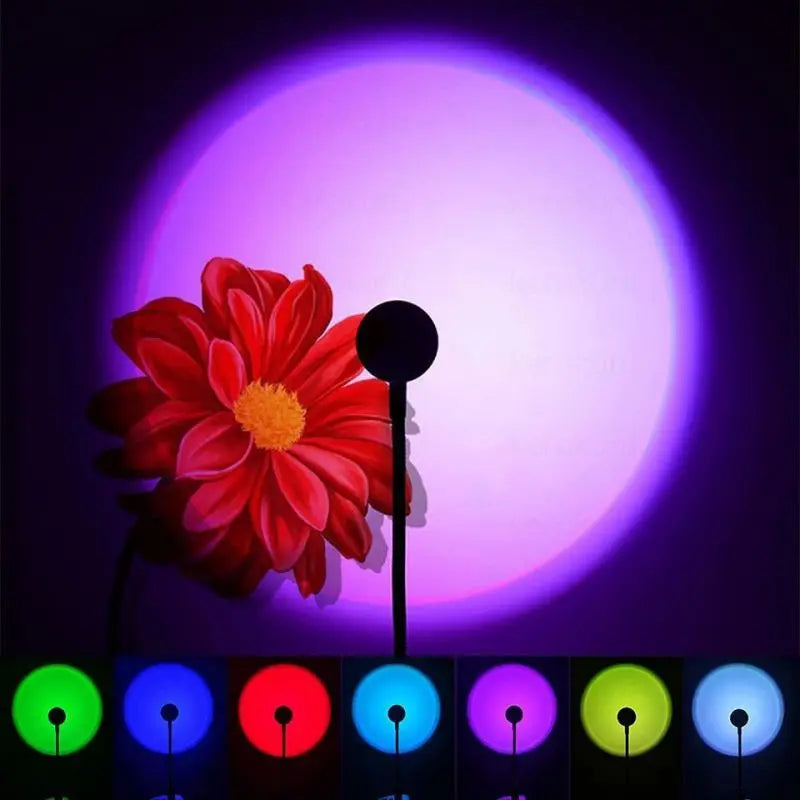 Fiesta RGB · 7 Colores